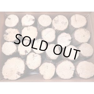 画像: ★シカ，フタマタ用／産卵材１ケース：ナラ，コナラ／薄皮限定！★